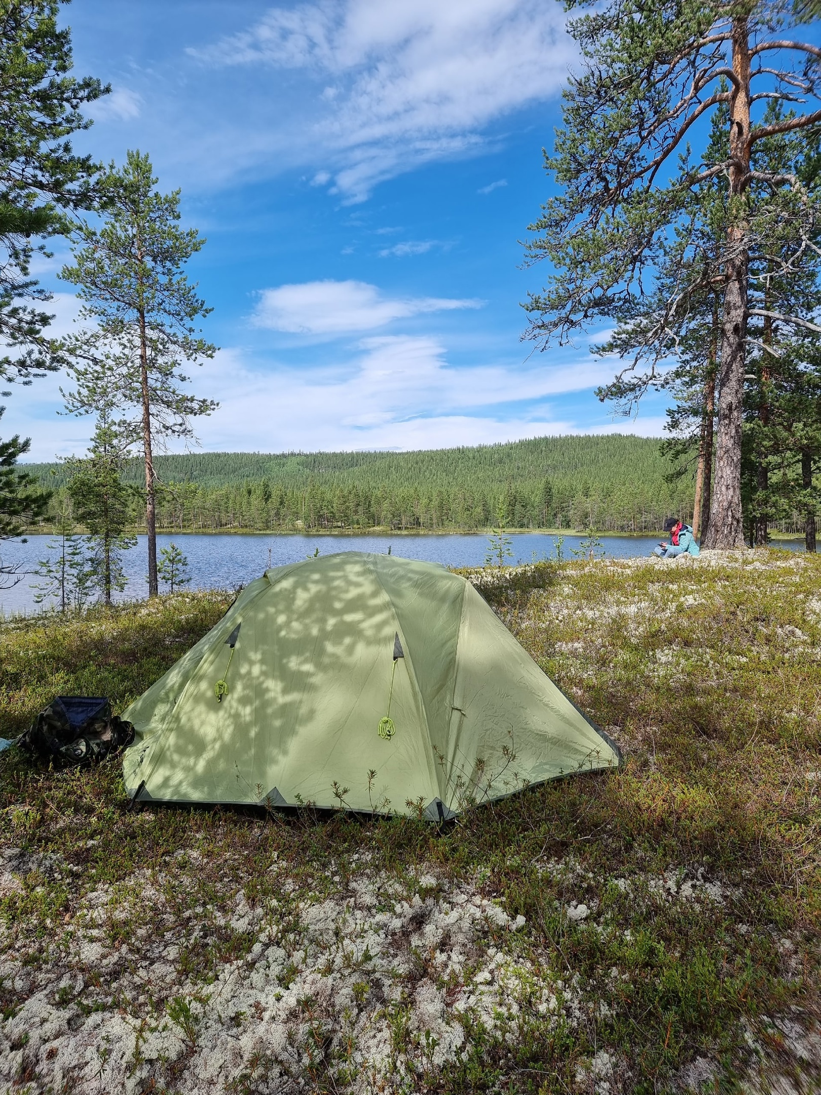 Описание вертикального фото 7