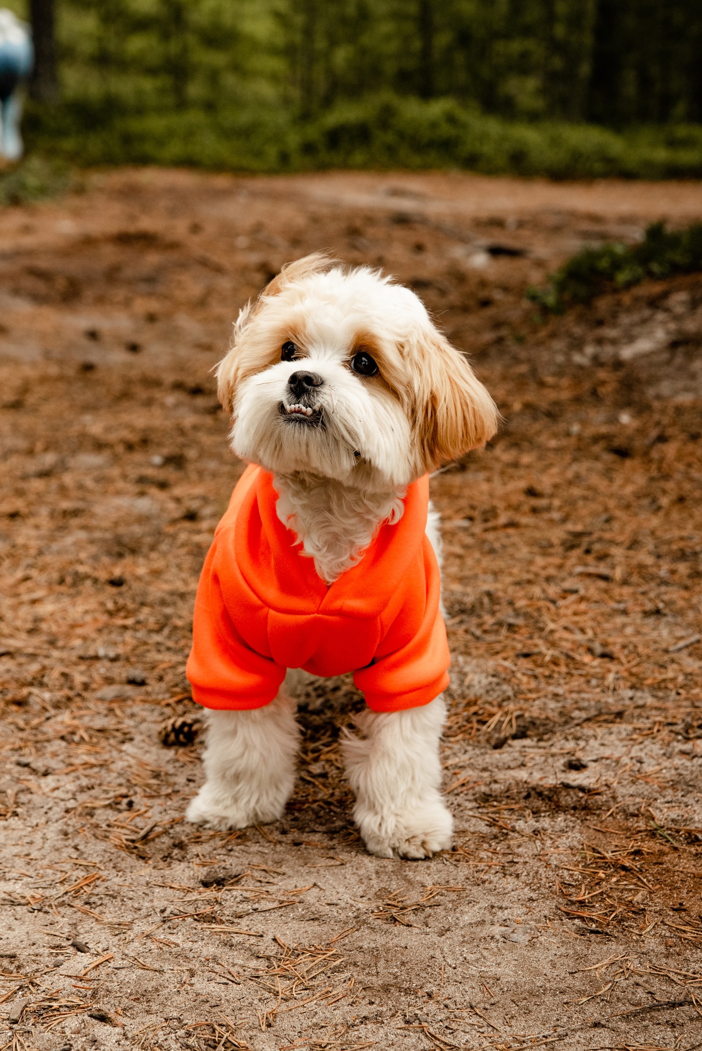 Фото спикера